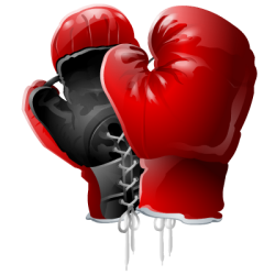 Boxing Gloves Image